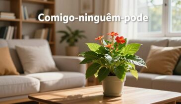 planta comigo ninguém pode
