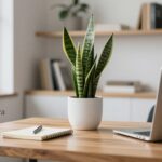 planta para escritorio