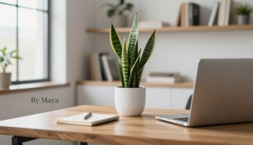 planta para escritorio