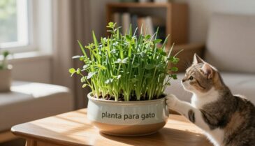 planta para gato