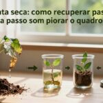 planta seca