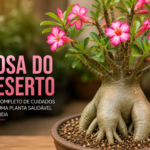 Rosa do deserto planta cultivada em vaso com flores rosas e base engrossada, posicionada em ambiente iluminado para cultivo ornamental doméstico.